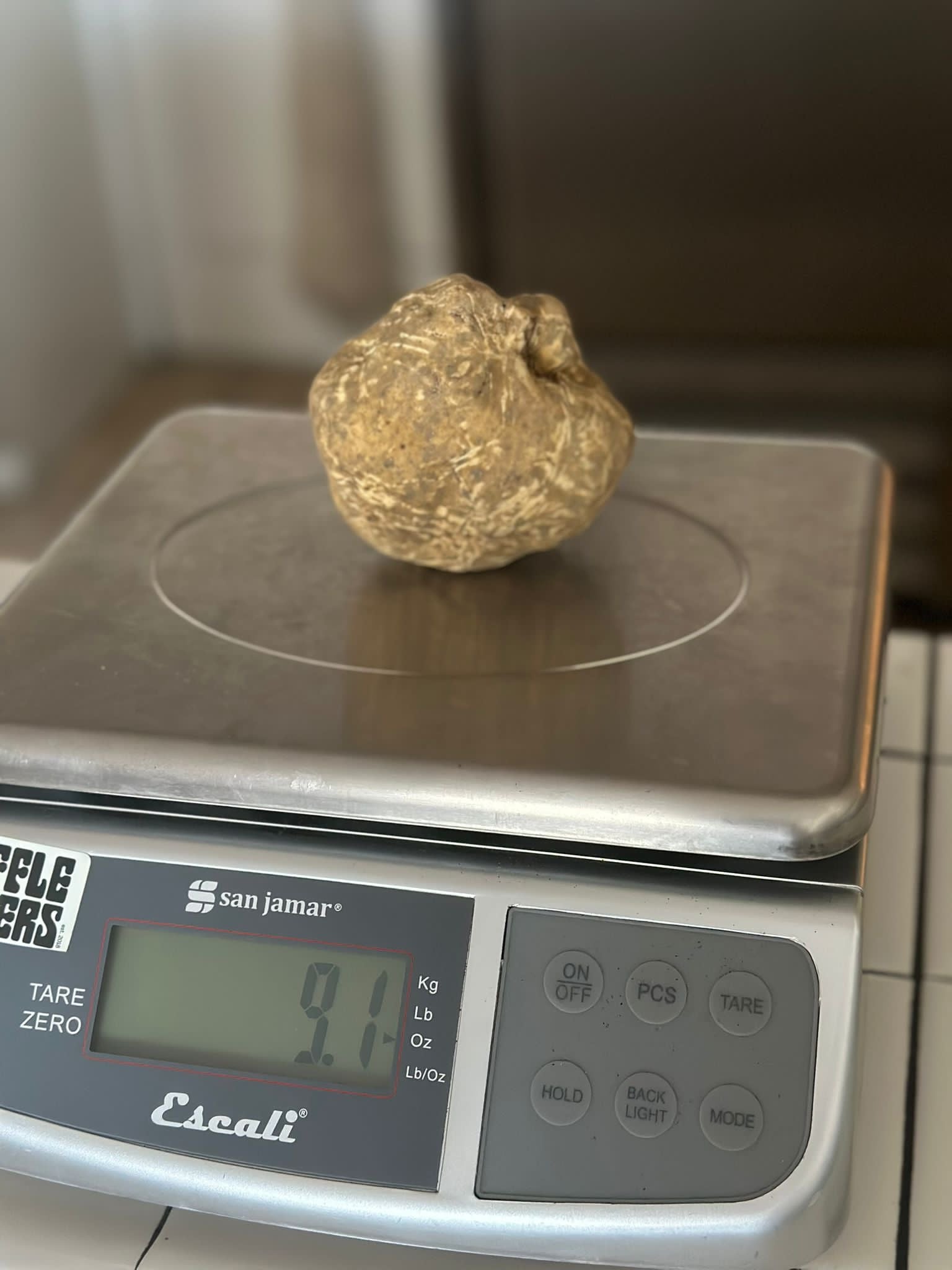 a gold nugget sitting on top of a scale