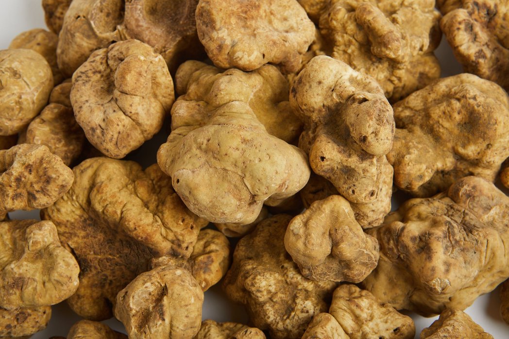 a close up of a pile of unripe ginger