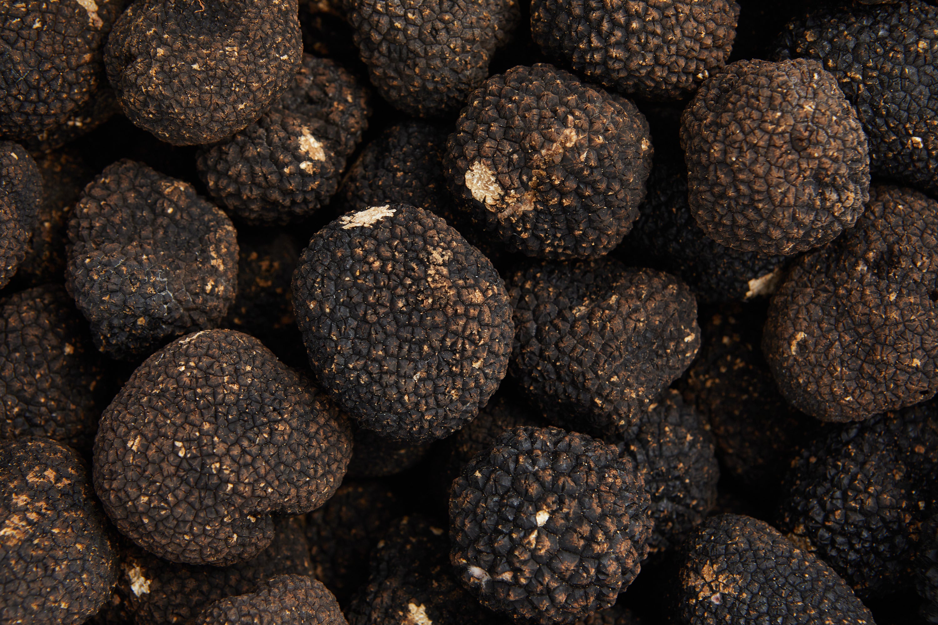 a close up of a bunch of black fruit