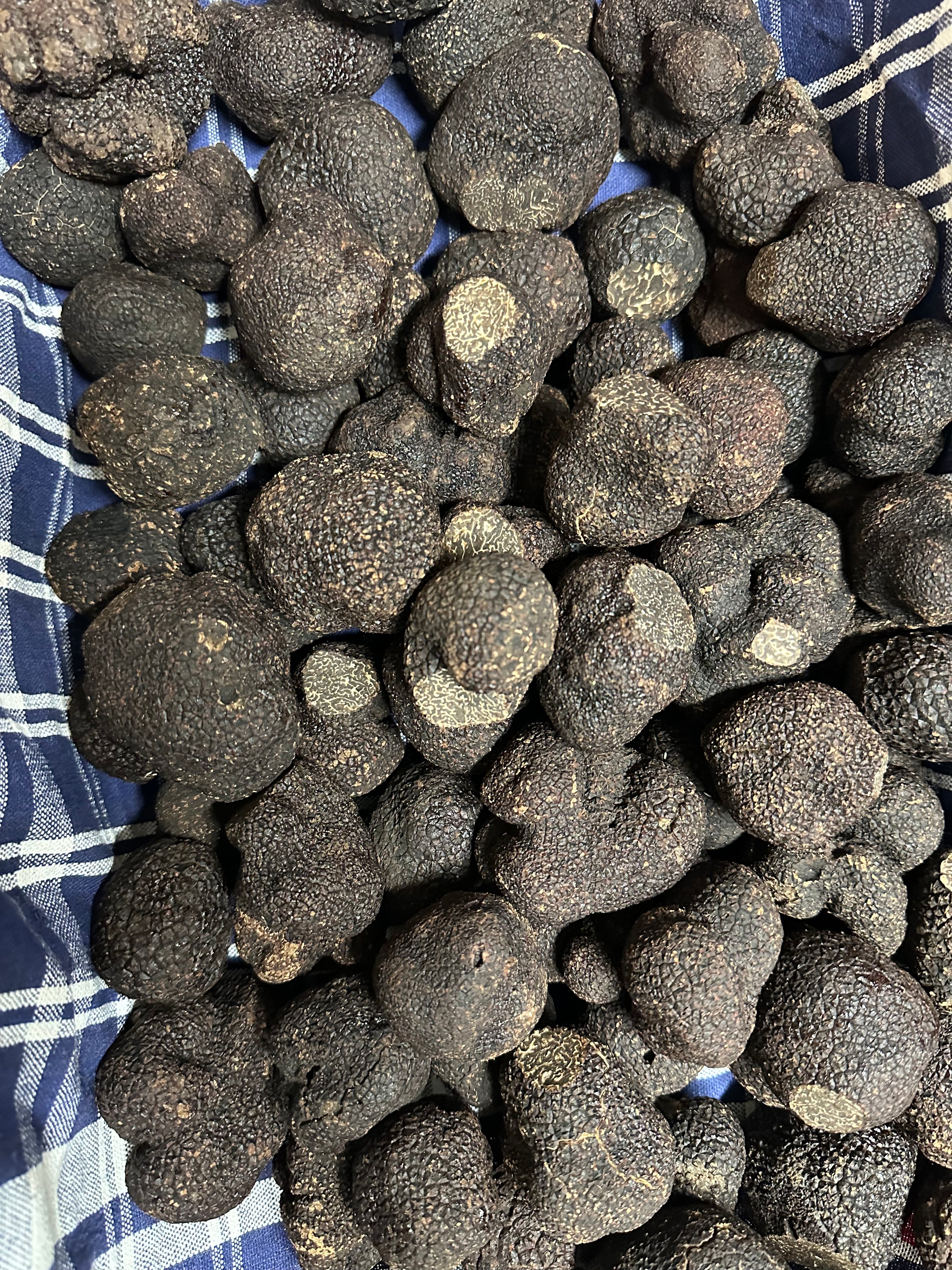 a pile of black rocks sitting on top of a blue and white towel