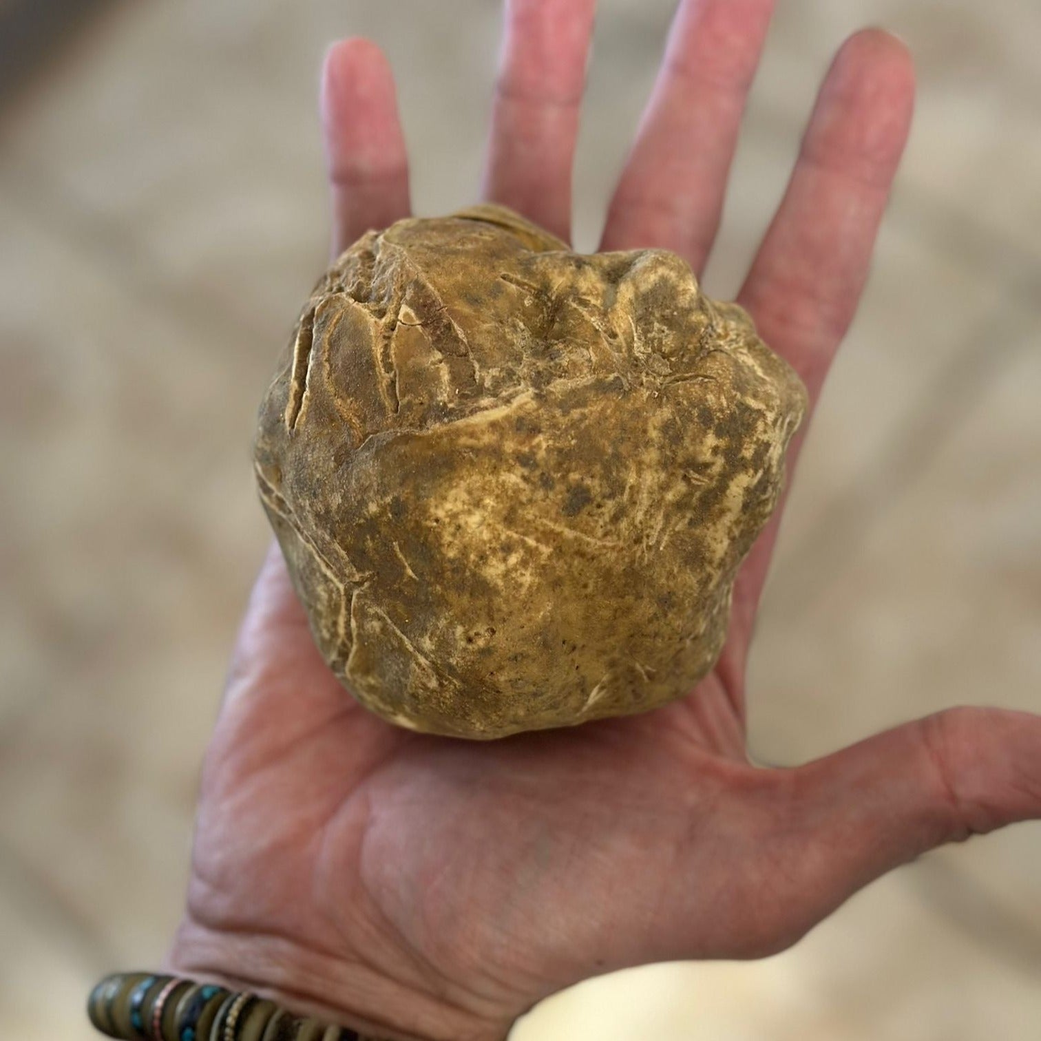 a person holding a rock in their hand