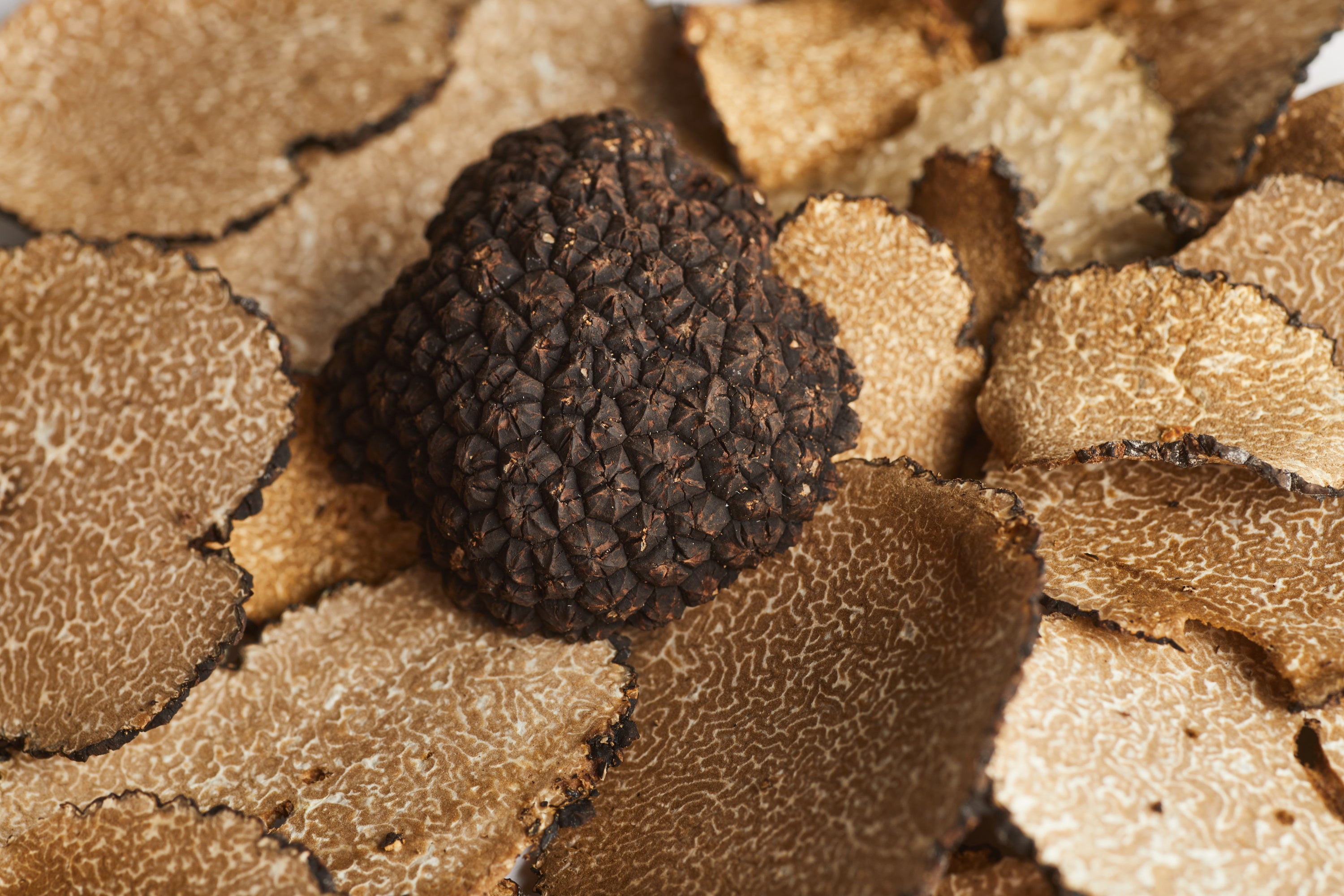 a close up of a piece of food on a plate